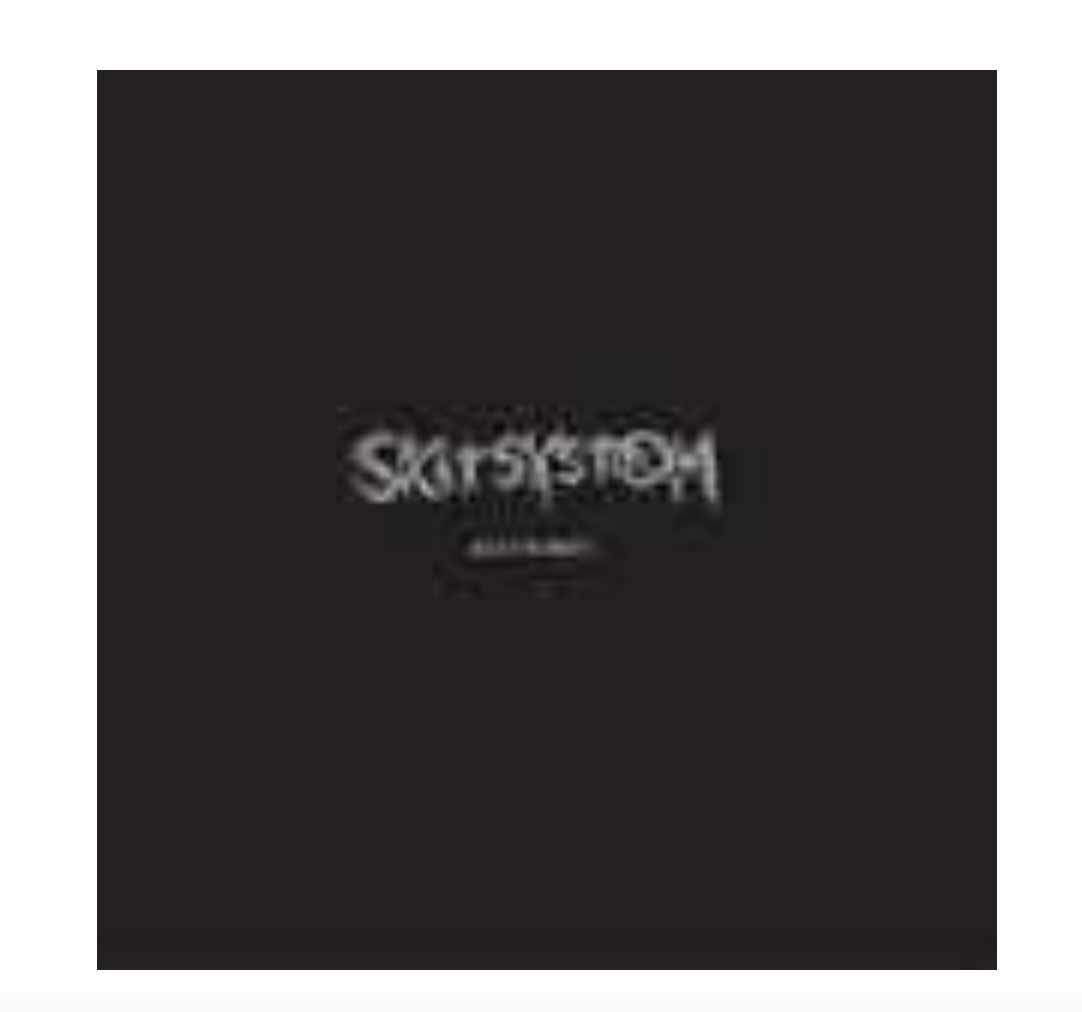Skitsystem - Allt E Skit LP